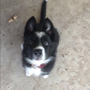 Meet your Posher, Bethany